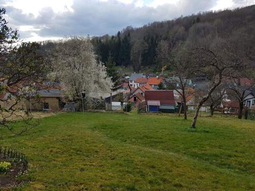 Blick zum Haus - 