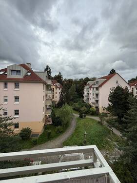 IMG_1878.jpeg - 