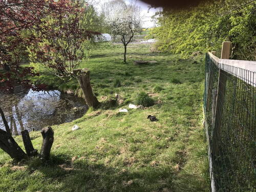 Teich - Mehrfamilienhaus, Wohnhaus mit 460,00 m&sup2; in Wangels zum Kaufen