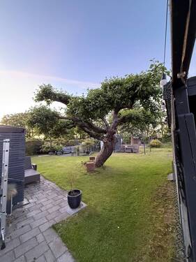 Garten - 