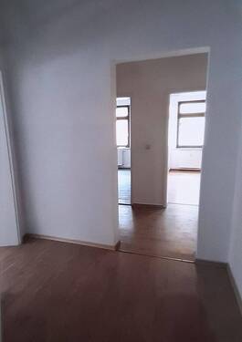 Knei WZ2 - 