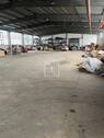 IMG_3362 - 