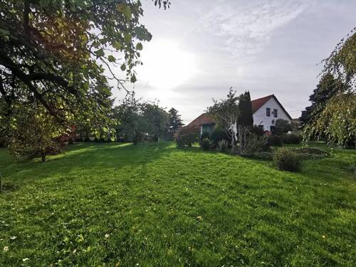 Große Wiesenflächen - 