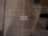Fliesen Flur - 