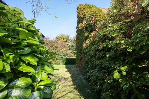 Garten - 