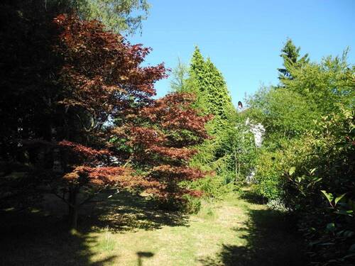 Garten - 