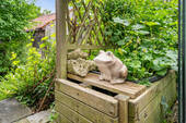 Bild 21 - 