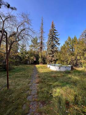 IMG_4484 - Großzügiges Baugrundstück in beliebter Wohnlage von Hermsdorf