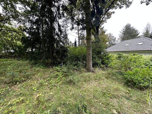 Grundstücksansicht I - Grundstück in Zeuthen