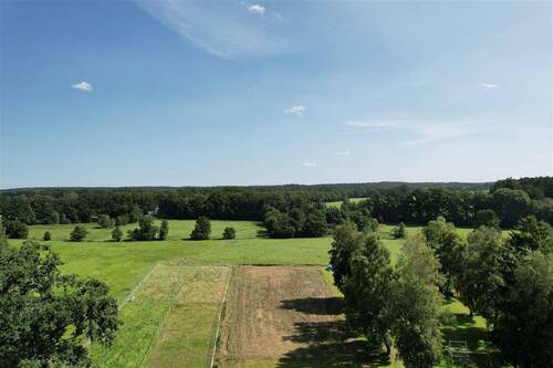 Weide - 