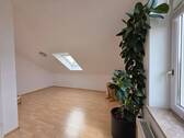 Helles Dachstudio mit Pflanze - 