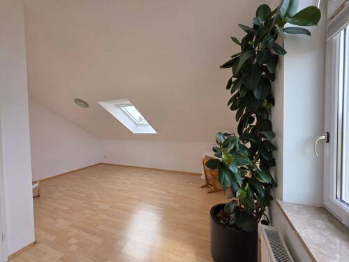 Helles Dachstudio mit Pflanze - 