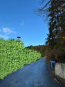 Straße zum naheliegenden Wald - 