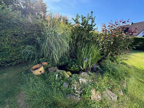 Gartenteich - 