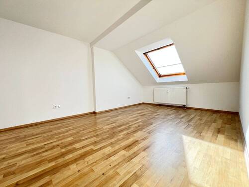 Zimmer - 