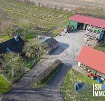 Großenwörden - Biodynamischer Obsthof mit Wohnhaus als Komplettpaket