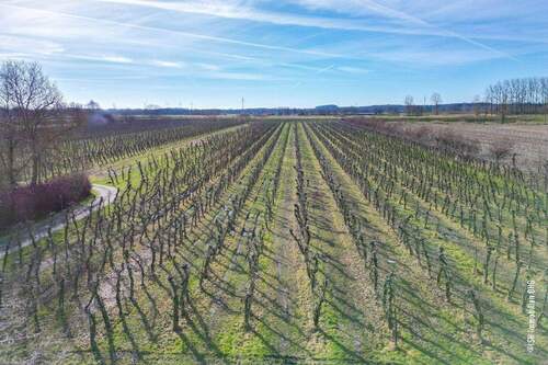 Obsthof am Haus - 6 Zimmer Einfamilienhaus in Großenwörden
