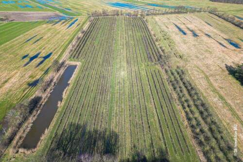 Obsthof mit Beregnungsbecken - Einfamilienhaus mit 246,00 m&sup2; in Großenwörden zum Kaufen