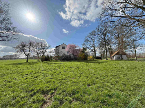 Bild6 - 