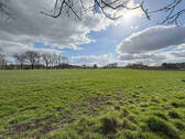 Bild7 - 