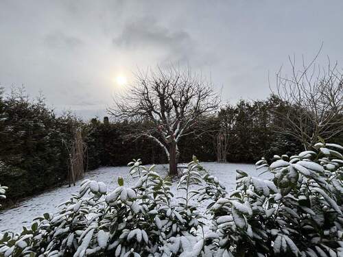Blick Terrasse/aus Wohnzimmer - 