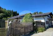 Haus - 