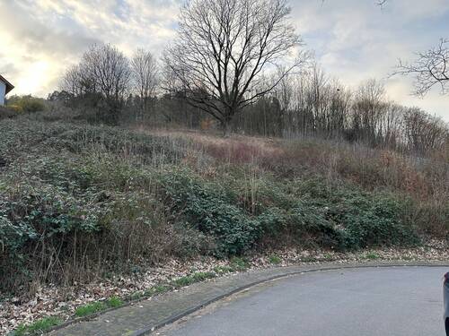 IMG_5580.JPG - Traumhaftes Hanggrundstück in idyllischer ländlicher Lage