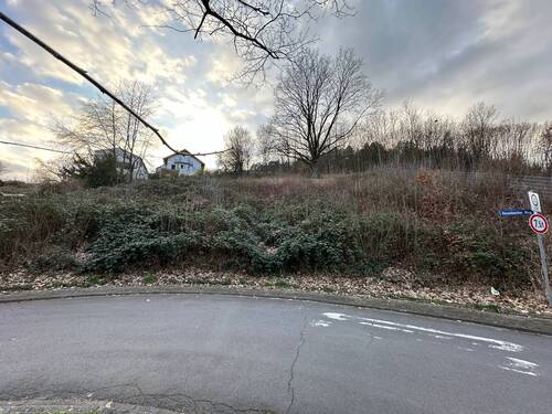 IMG_5583.JPG - Grundstück zum Kaufen in Breuberg