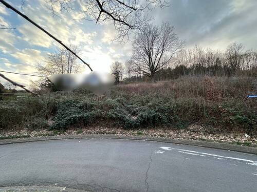 IMG_5598.JPG - Grundstück in Breuberg