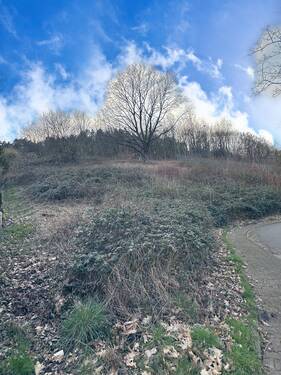 6B94DECF-BB02-4921-97AF-B4BDA42A6F93.JPG - Grundstück in Breuberg zum Kaufen