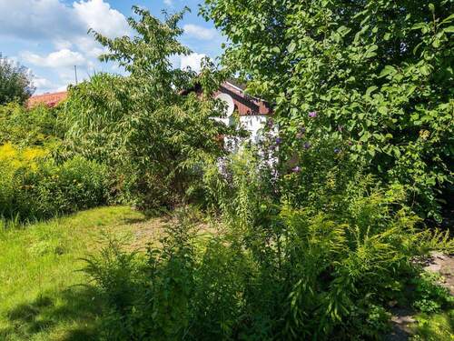 Garten - 4 Zimmer Einfamilienhaus zum Kaufen in Berlin / Pankow