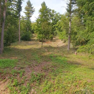 20250731_160235 - Grundstück in Kieselbronn