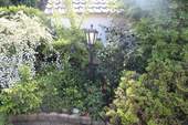 Garten hinten - 