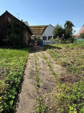 IMG-20240826-WA0099.jpg - 