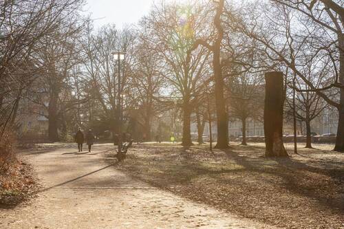 Schlossgarten - 