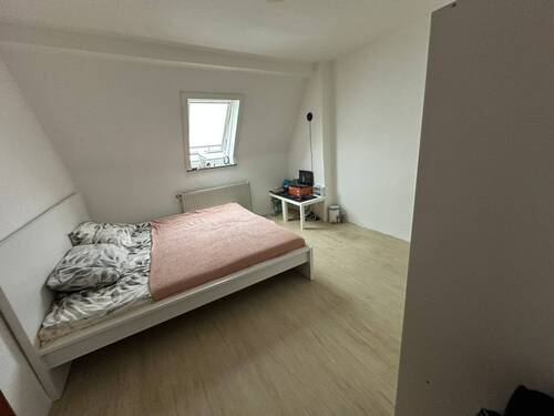 IMG-20250205-WA0019.jpg - 