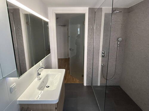 Bodengleiche Dusche/ Glaswand - 