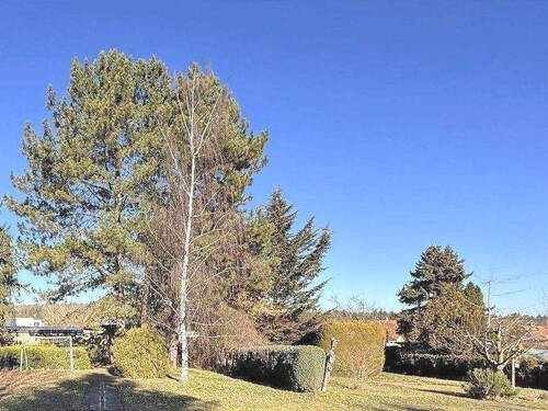 Gartenbereich - Brühlervorstadt - renovieren für die eigenen Ansprüche
