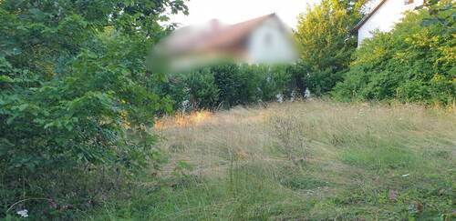 Bestehender Naturgarten - Wo der Blick schweift und das Herz bleibt - Zuhause am Kapellenberg in Grafenau!