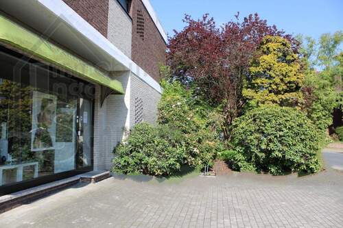 Außenansicht seitlich - 