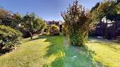 Laube - 