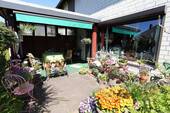 Terrasse und Freisitz - 