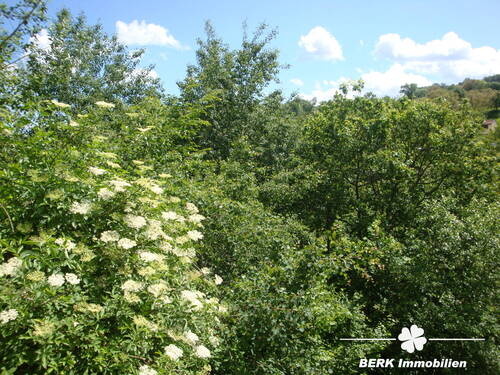 Seitenansicht - Grundstück in Lützelbach / Seckmauern zum Kaufen