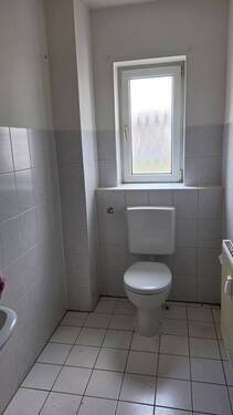 20260401_095240.jpg - 