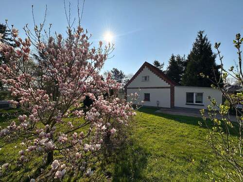 Haus- und Grundstücksansicht - Einfamilienhaus mit 91,00 m&sup2; in Poseritz zum Kaufen