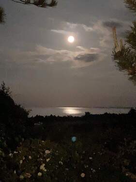 Mond über Wattenmeer - 