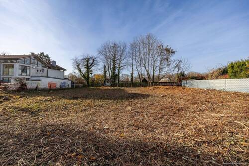 Blick über das Grundstück - 