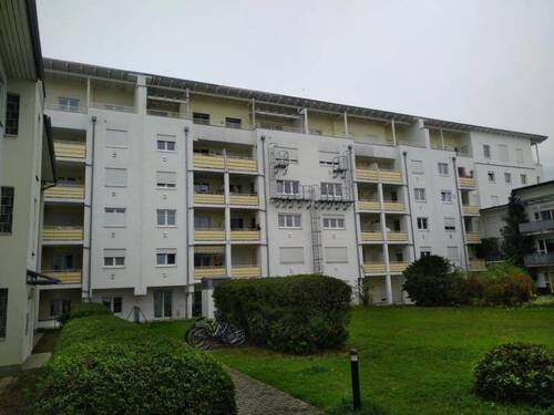 IMG_20190829_120623 - 