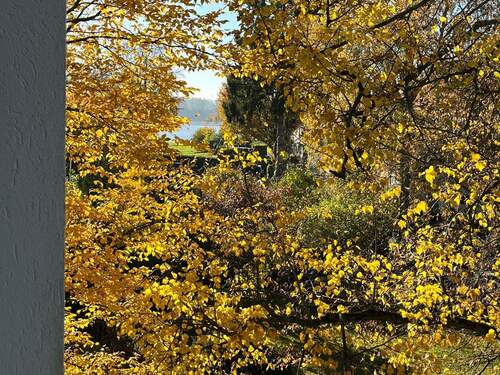 Sogar bis zur Elbe - 