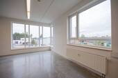 Lichtdurchflutete Arbeitsräume - Halle in Neumarkt in der Oberpfalz zur Miete